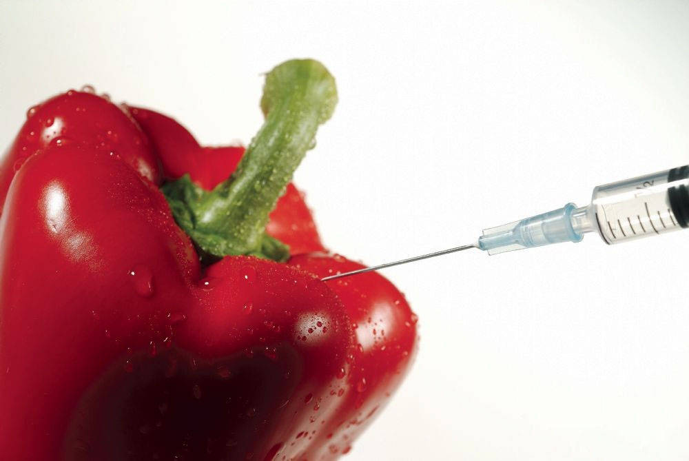 食品市场分类监管制度