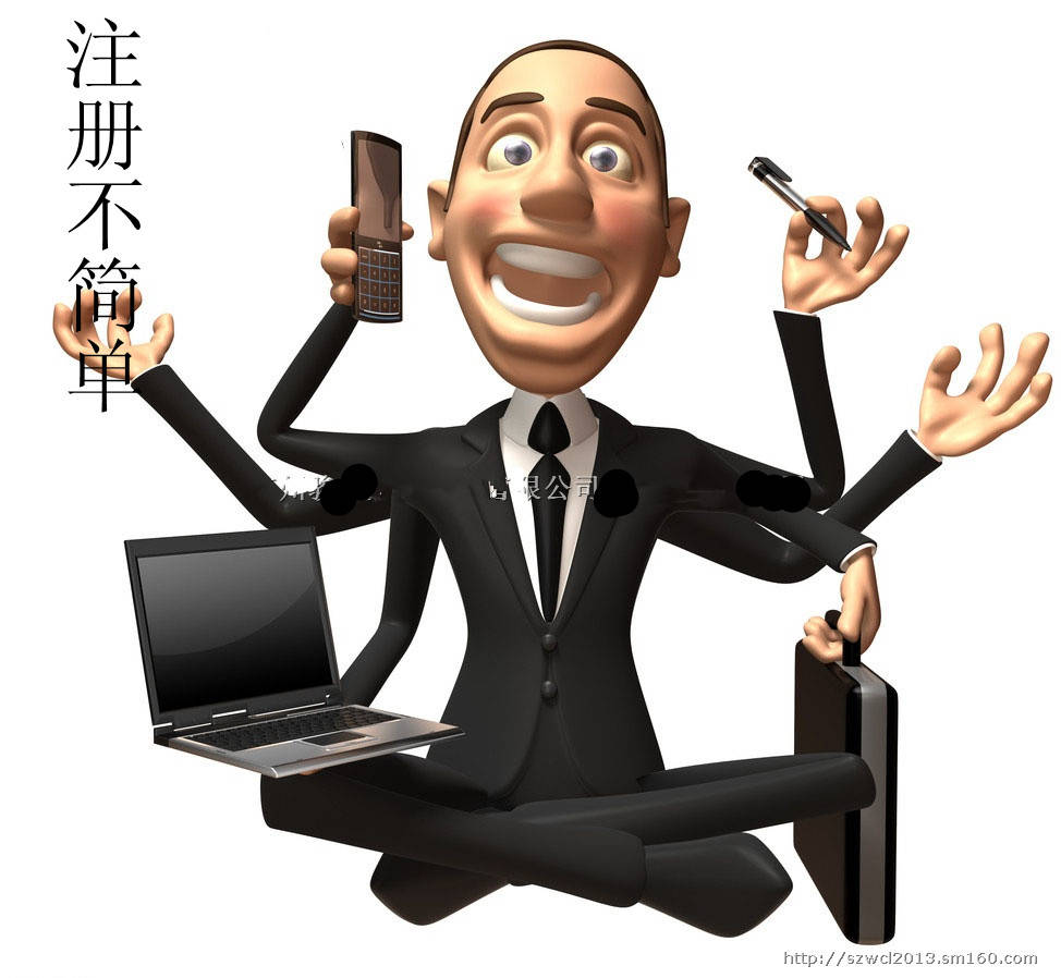 有限责任公司注册流程