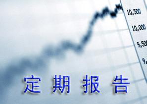 定期报告披露