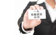 一人有限责任公司优缺点