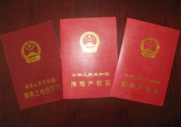 我家买的是小产权房,有一个房产证,这个房产证包含是整栋楼所有居民的