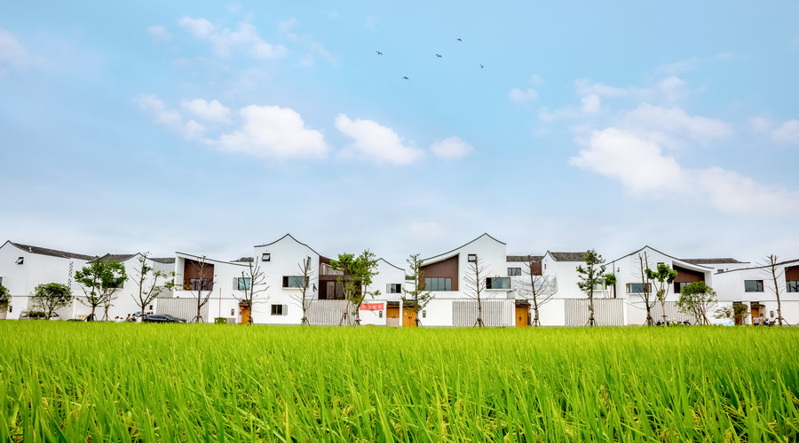 2019年的经济标准赔偿_2019离婚赔偿的计算标准(3)