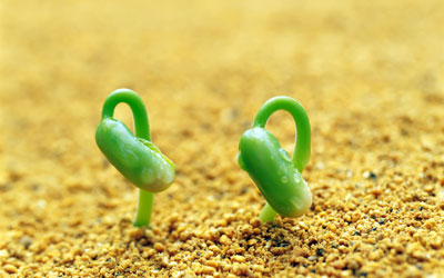 合同管理及支付明细表_合同付款明细统计表_合同付明细的怎么做