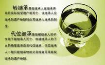 代位继承与转继承的处理方法