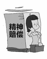 交通事故精神赔偿的原则