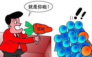 投标应注意的问题有哪些？