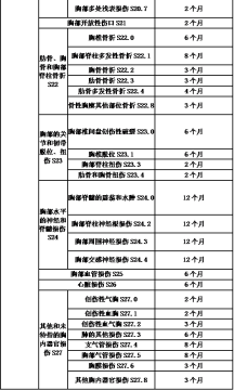 北京市停工留薪期分类目录（试行）