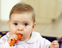 婴儿食品安全法律有哪些