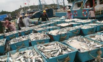非法捕捞水产品罪的认定标准是什么