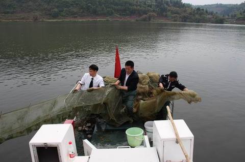 非法捕捞水产品罪拘留多久