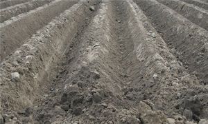 20200315083408998_300wh200.jpg