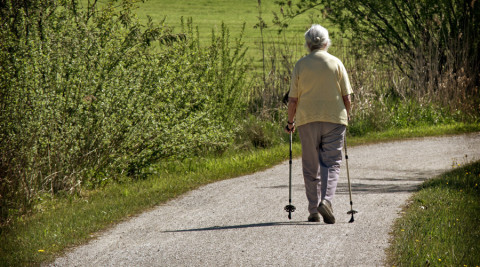 养老保险可以跨省转移吗
