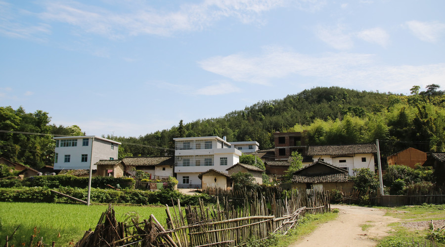 农村宅基地房屋可以拍卖吗